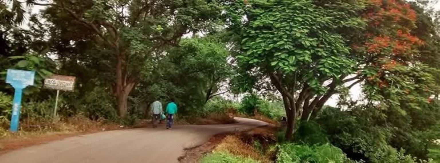Valiveru village road